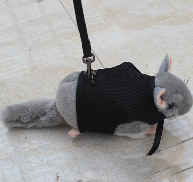 The Perfect Companion for Your Small Pets