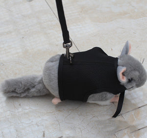 The Perfect Companion for Your Small Pets