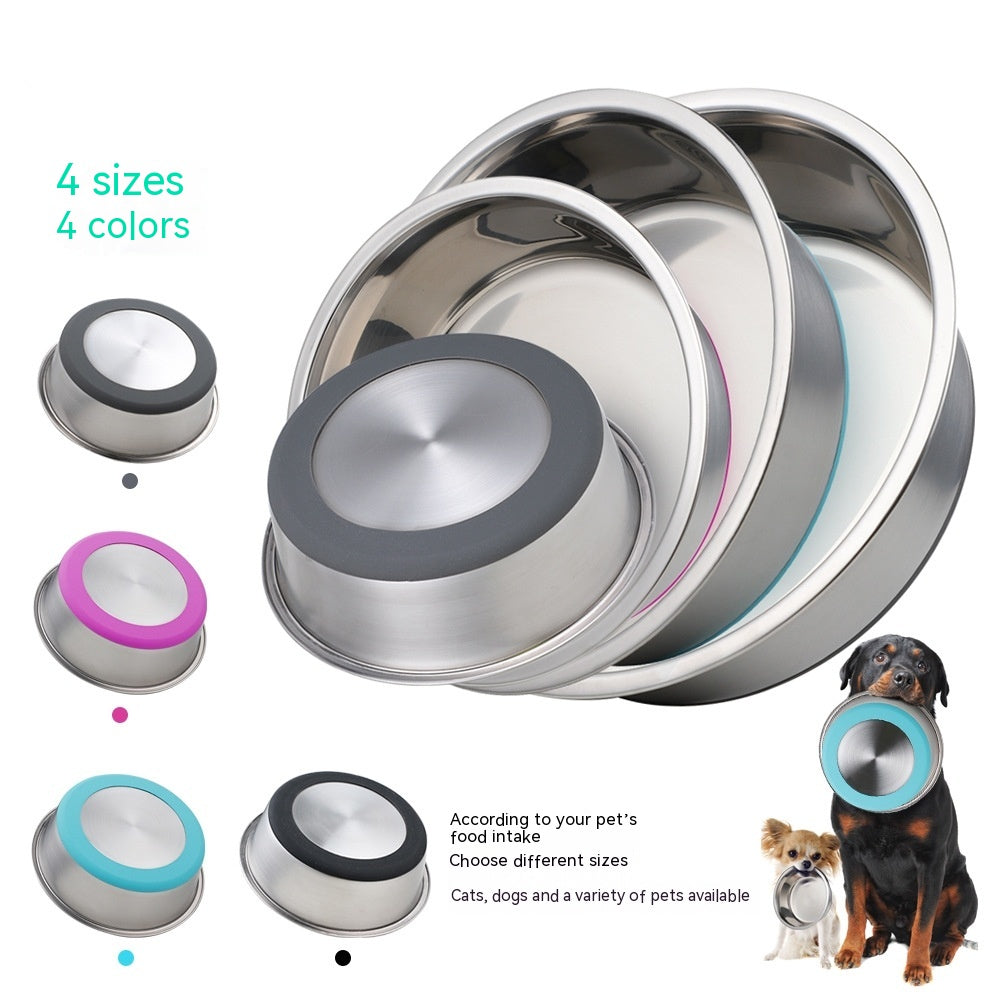 Discover the Ultimate Pet Feeding Solution
