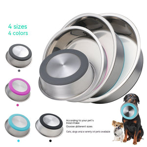 Discover the Ultimate Pet Feeding Solution