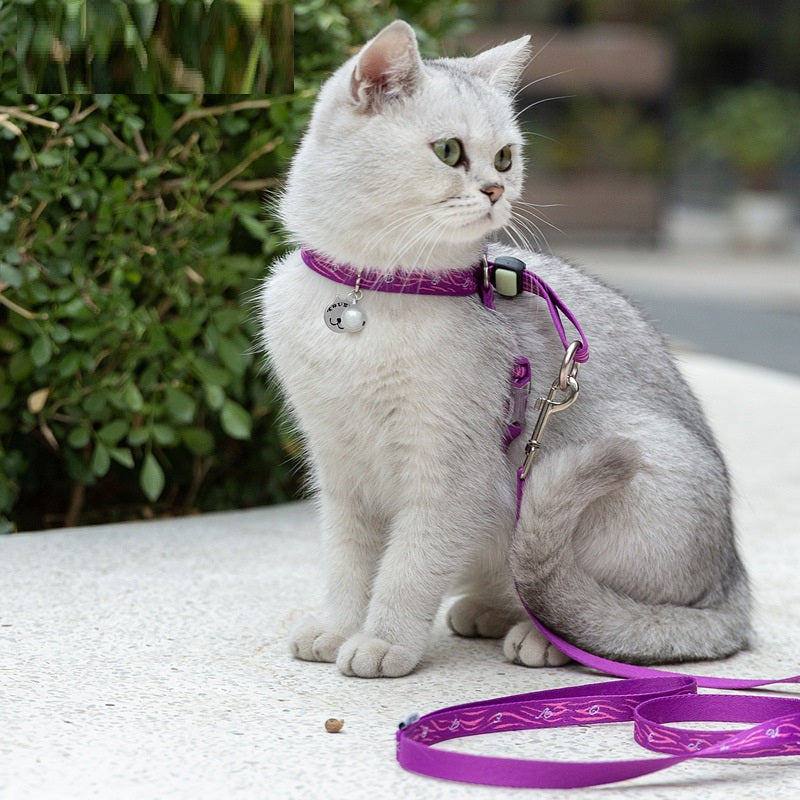 Enhance Your Pet's Adventures with Our Pet Bell Chest Strap Leash Vest Set
