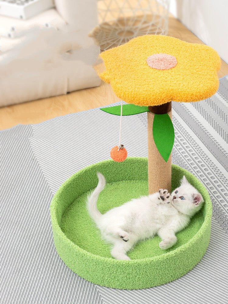 Discover the Joy of the Pet Claw Grinding Teasing Toy