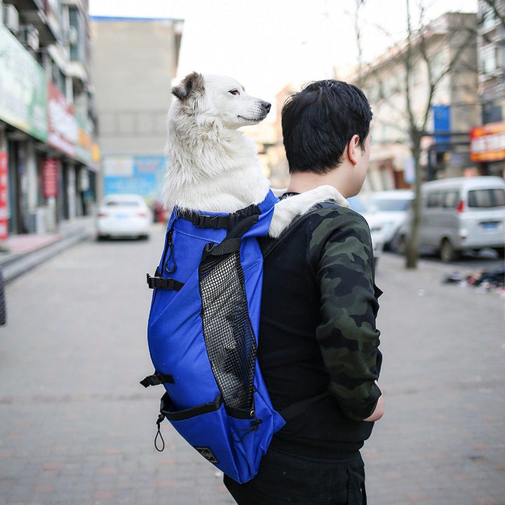 The Ultimate Pet Travel Companion: Pet Travel Backpack Carrier Bag