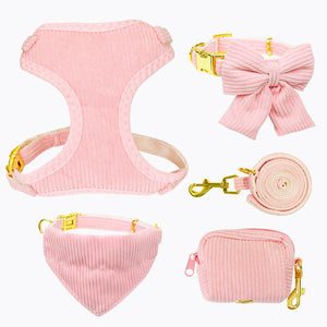 Why Your Pet Deserves the Best: The Pet Outdoor Leash Harness Set