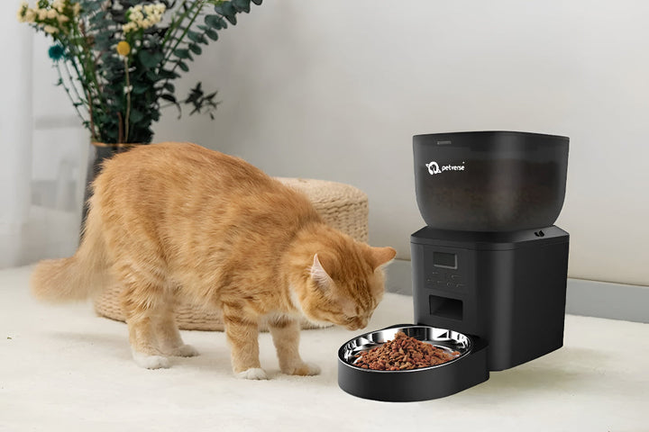 Best Pet Feeding Supplies Explained
