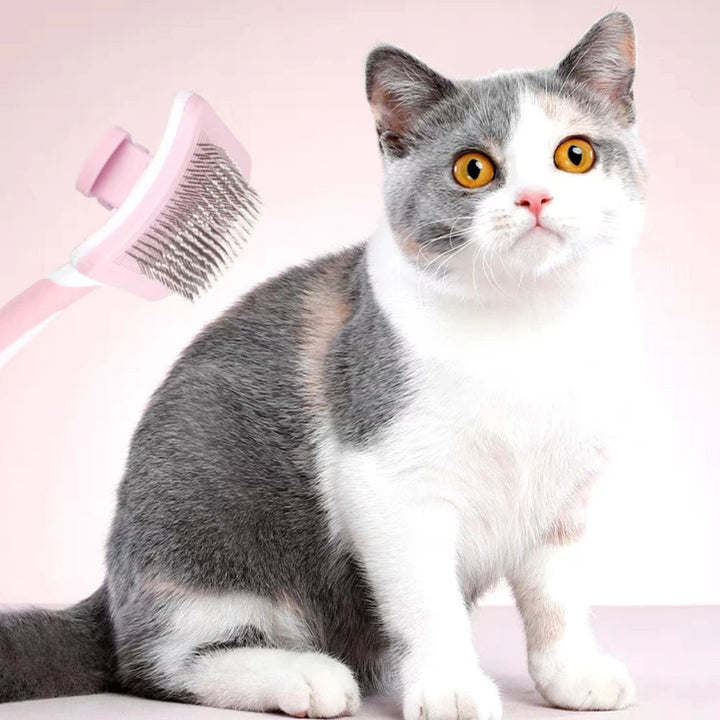 The Ultimate Self-Cleaning Pet Slicker Brush