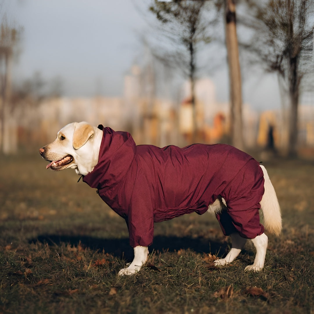 Stylish And Comfortable Pet Clothes