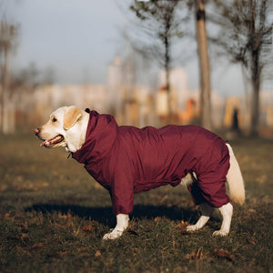 Stylish And Comfortable Pet Clothes